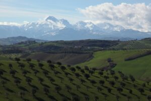 Read more about the article Italian wine regions: the greenest area of Europe, Abruzzo