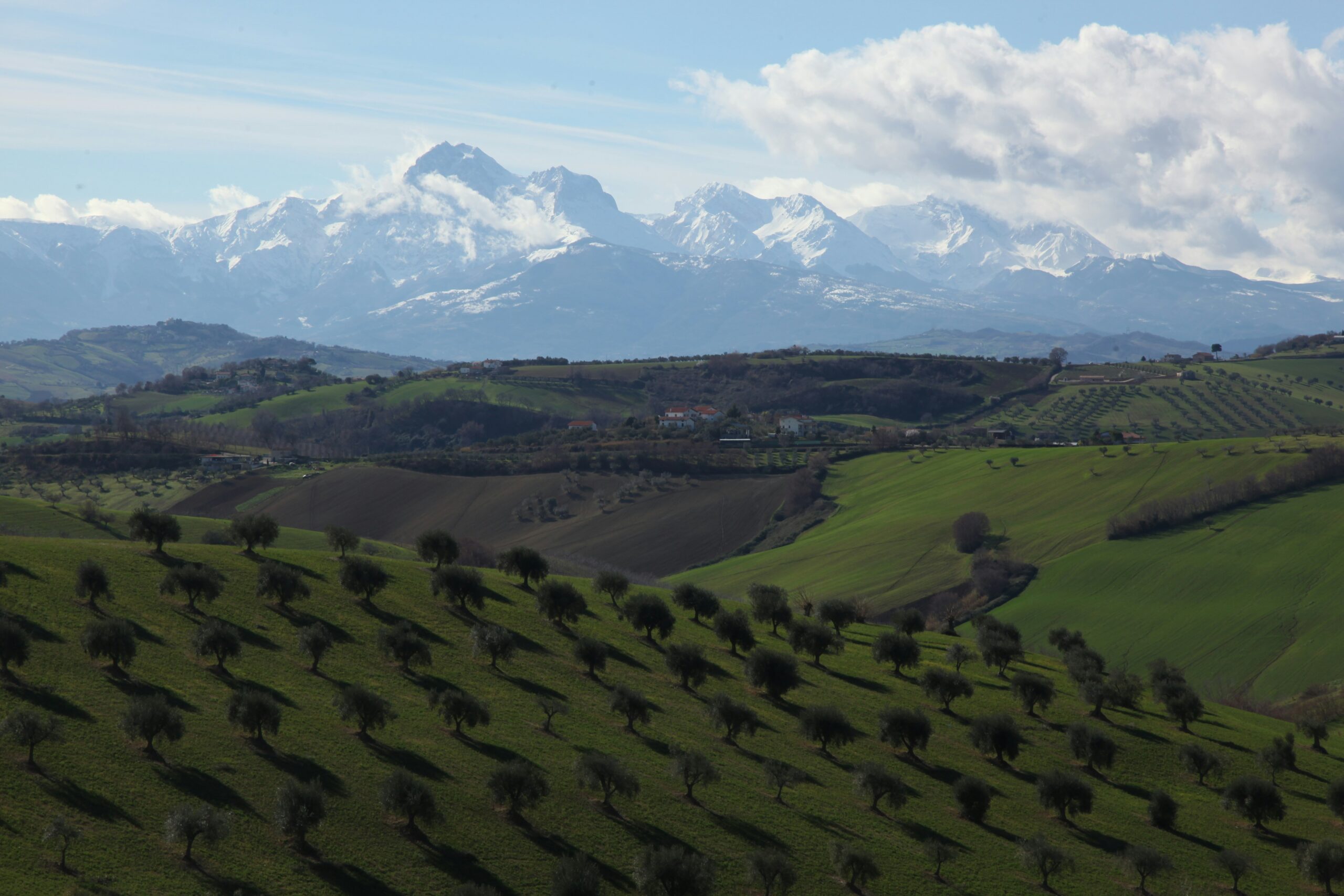 Italian wine regions: the greenest area of Europe, Abruzzo