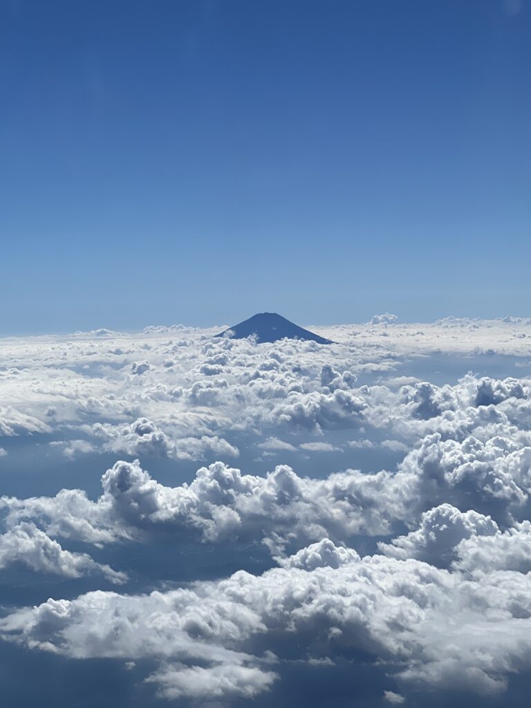 ITA Airways Mt. Fuji view